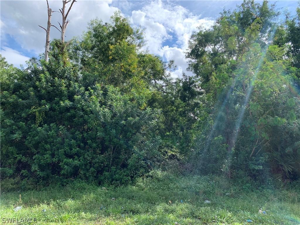 2425 George Ave., Lehigh Acres, FL 33973