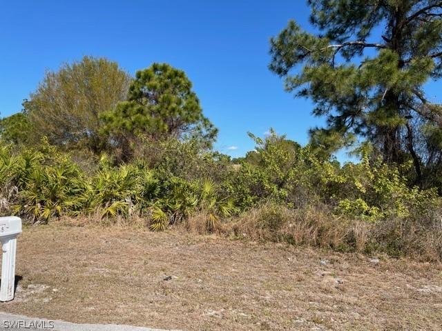 839 Carbon St., Lehigh Acres, FL 33974