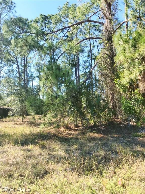 303 Mcarthur Ave., Lehigh Acres, FL 33936