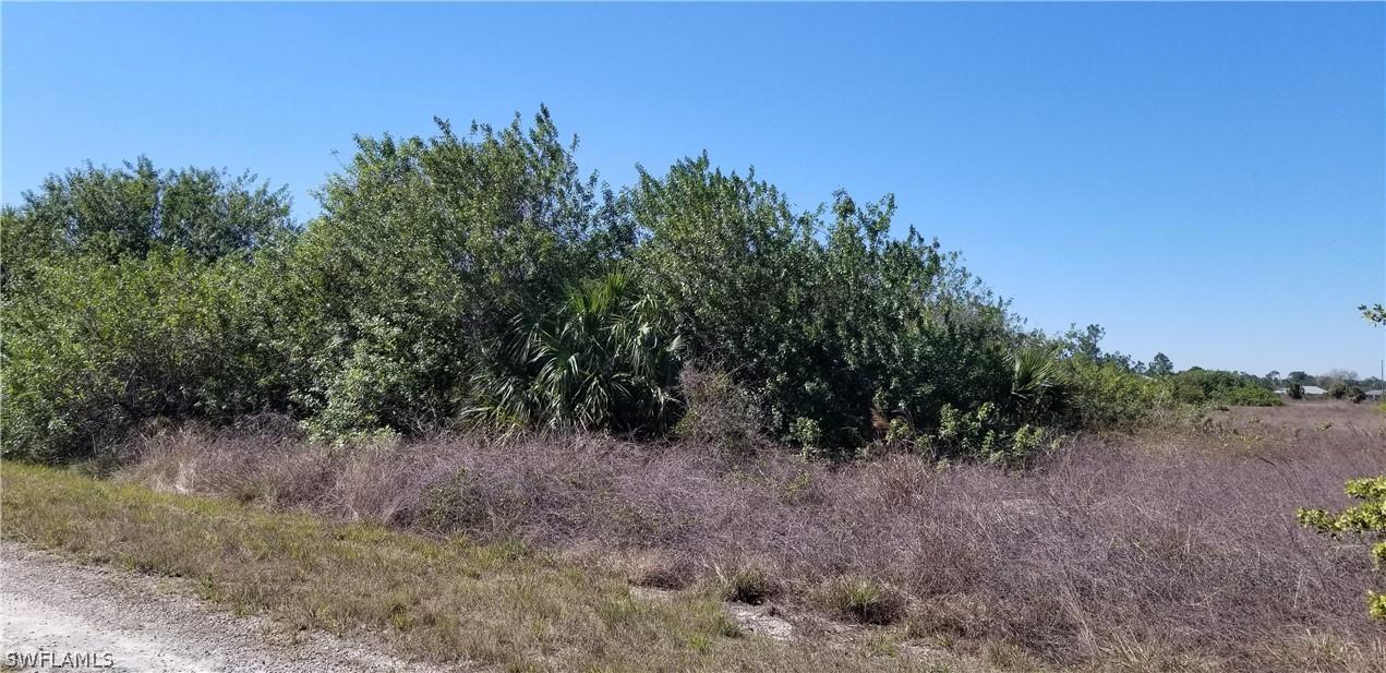 1407 Fitch Ave., Lehigh Acres, FL 33972