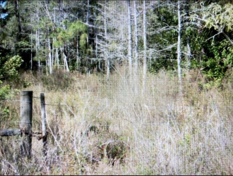 20340 Lazy D Farm Rd., Estero, FL 33928