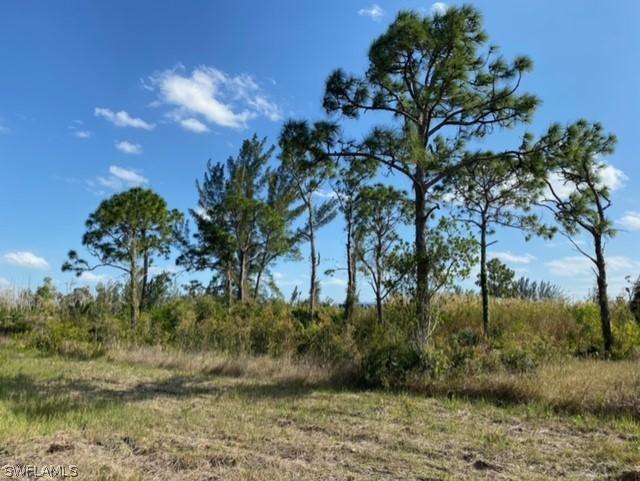 5301 Doug Taylor Cir., Other, FL 33956