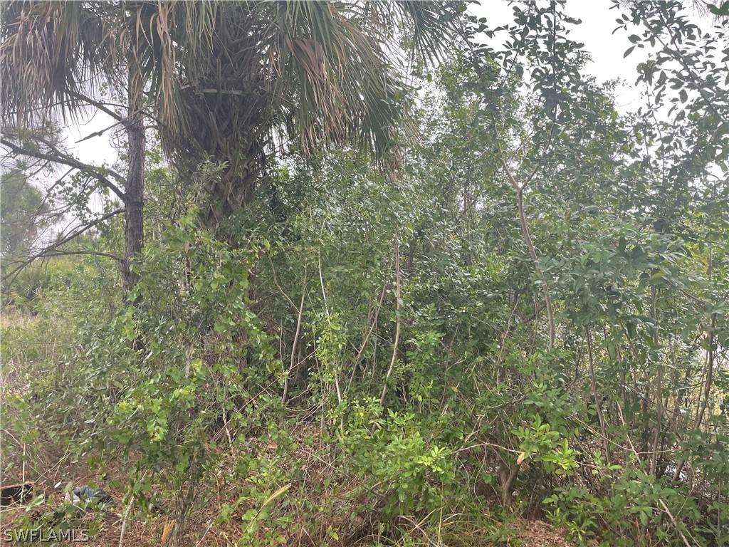 1246 Briarcliffe St., Fort Myers, FL 33913