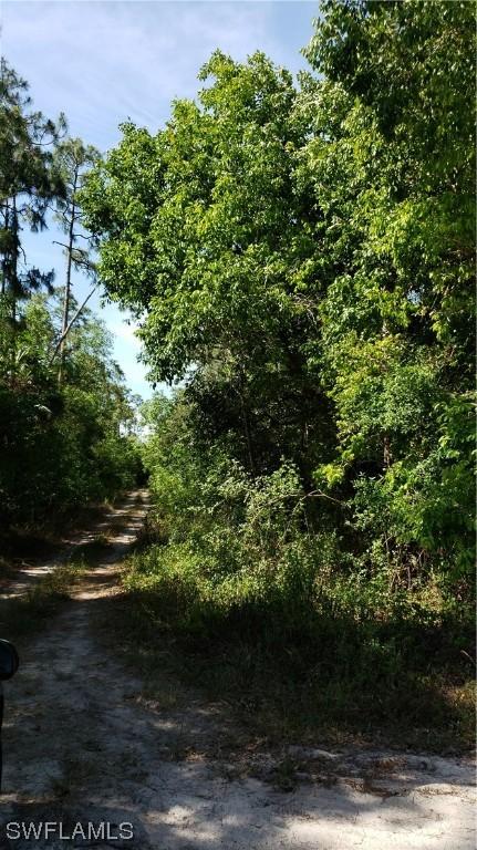 11139 Lacewing Ln., Naples, FL 34114