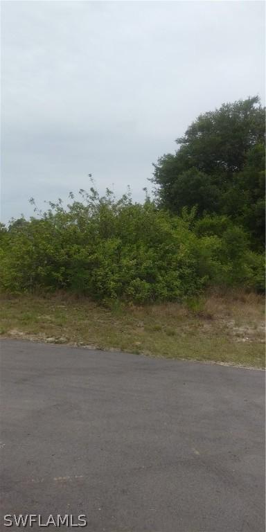 6001 Anita Ave., Lehigh Acres, FL 33971