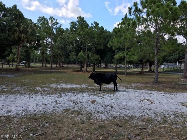 3657 70th Ave., Naples, FL 34120