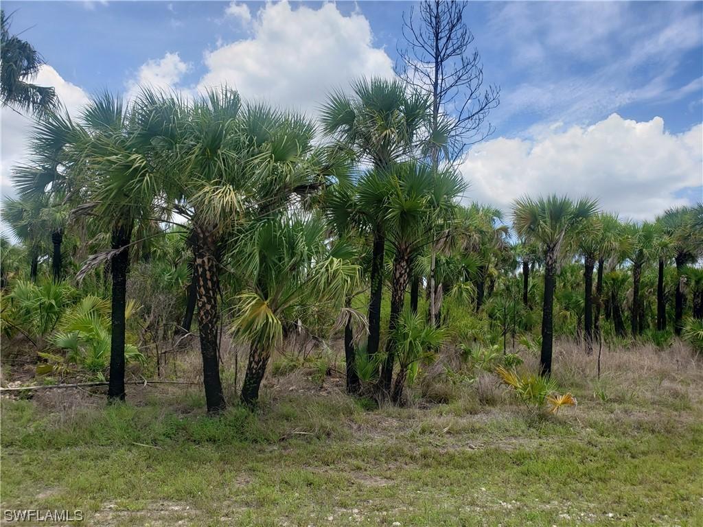 2885 36th Ave., Naples, FL 34117