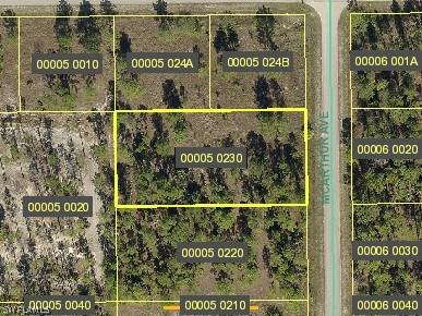 1223 Mcarthur Ave., Lehigh Acres, FL 33972