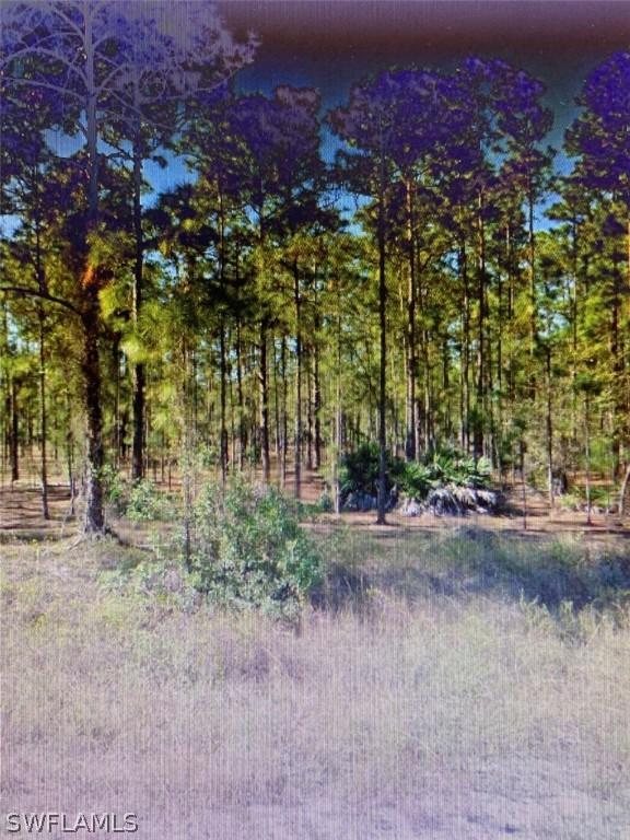 [Address Hidden by Seller], Lehigh Acres, FL 33972