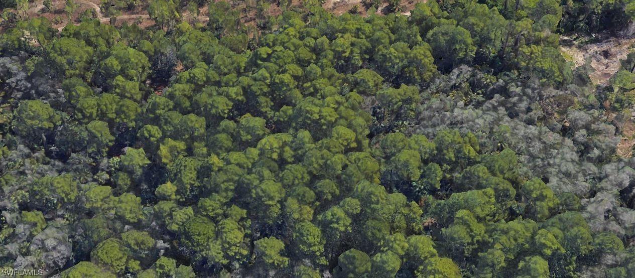 11th Ave Sw, Naples, FL 34117