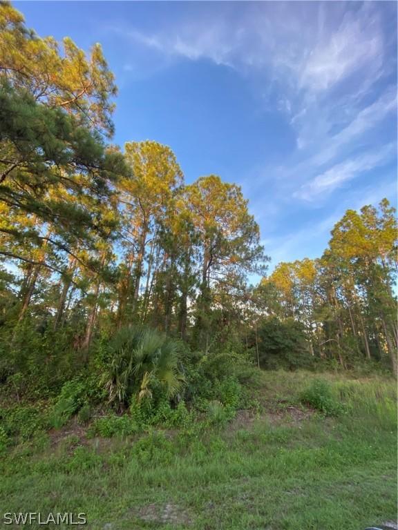 1114 Oak Ave., Lehigh Acres, FL 33972