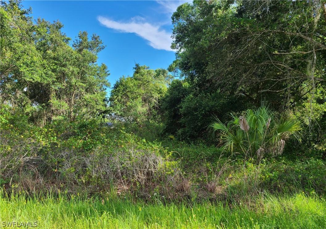 29335 Daisy St., Punta Gorda, FL 33982