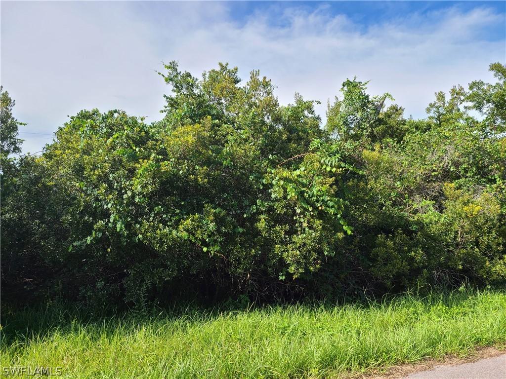 29442 Daisy St., Punta Gorda, FL 33982