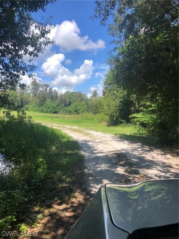 Honeybee, Naples, FL 34120