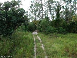 2050 39th St., Naples, FL 34117