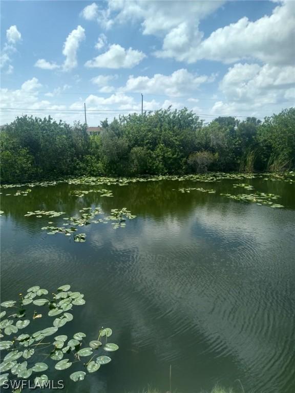 428 NE 25th Ter., Cape Coral, FL 33909