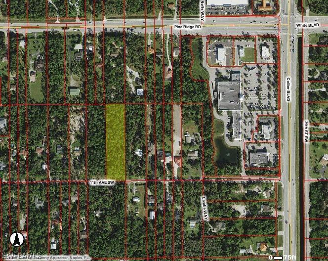 11th Ave., Naples, FL 34116