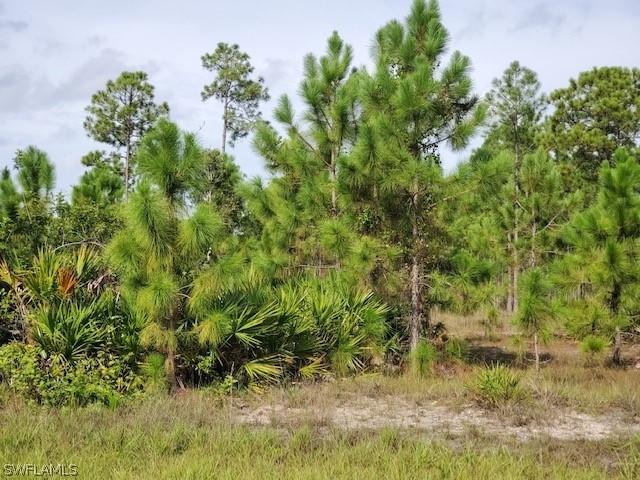 1105 Jackson Ave., Lehigh Acres, FL 33972