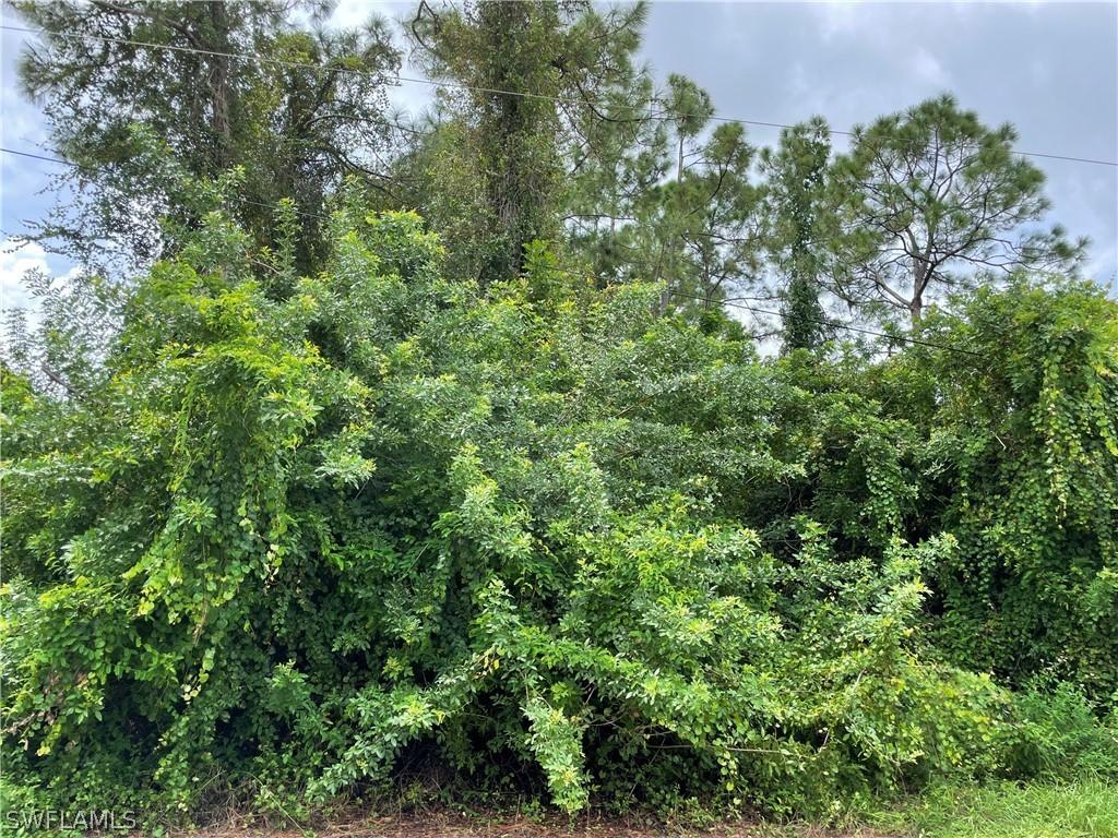 5317 2nd St., Lehigh Acres, FL 33971