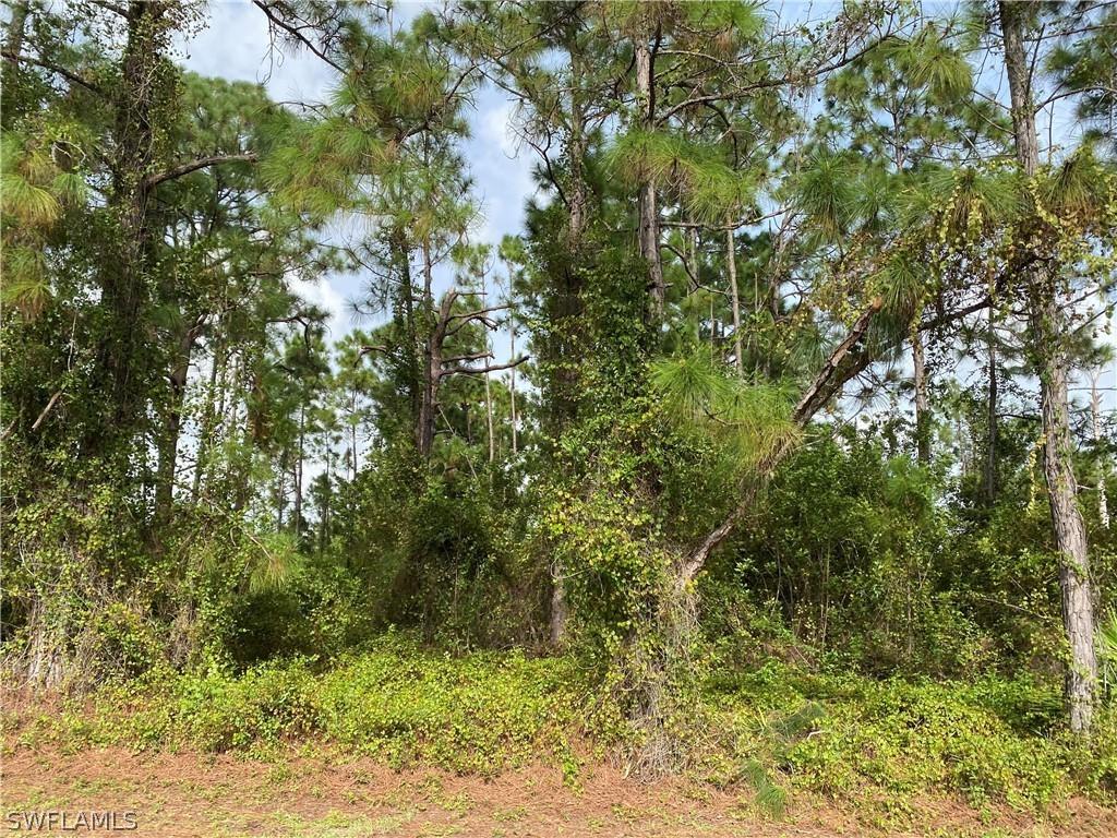 928 Fern St., Lehigh Acres, FL 33974