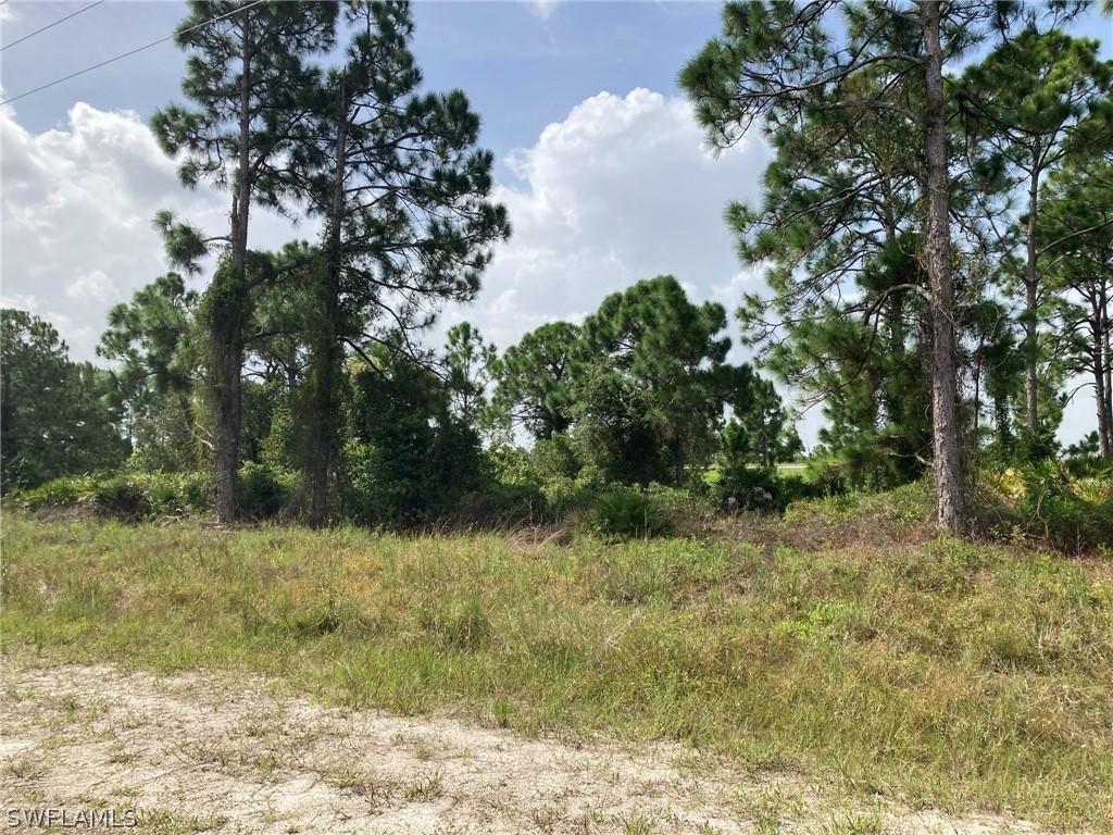 2528 Meadow Rd., Lehigh Acres, FL 33974