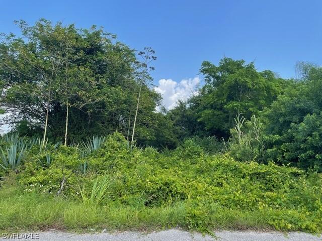 4208 28th St., Lehigh Acres, FL 33976