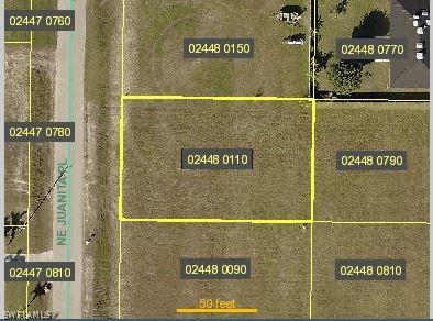 1309 NE Juanita Pl., Cape Coral, FL 33909