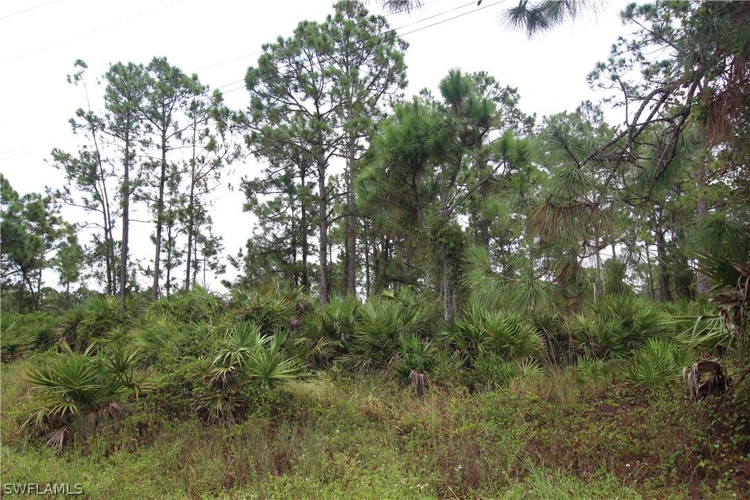 807 Homestead Rd., Lehigh Acres, FL 33974