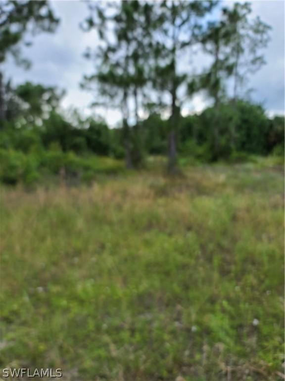 810 Ontario Ave., Lehigh Acres, FL 33974