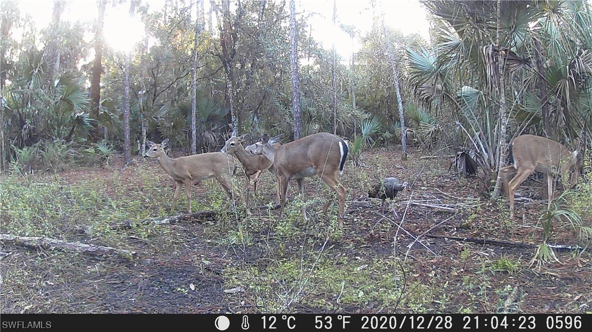 4840 16th Ave., Naples, FL 34117