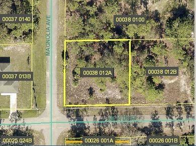 906 W 15th St., Lehigh Acres, FL 33972