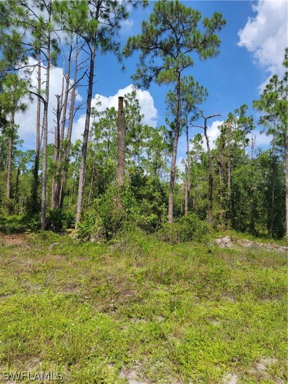 1113 Scott Ave., Lehigh Acres, FL 33972