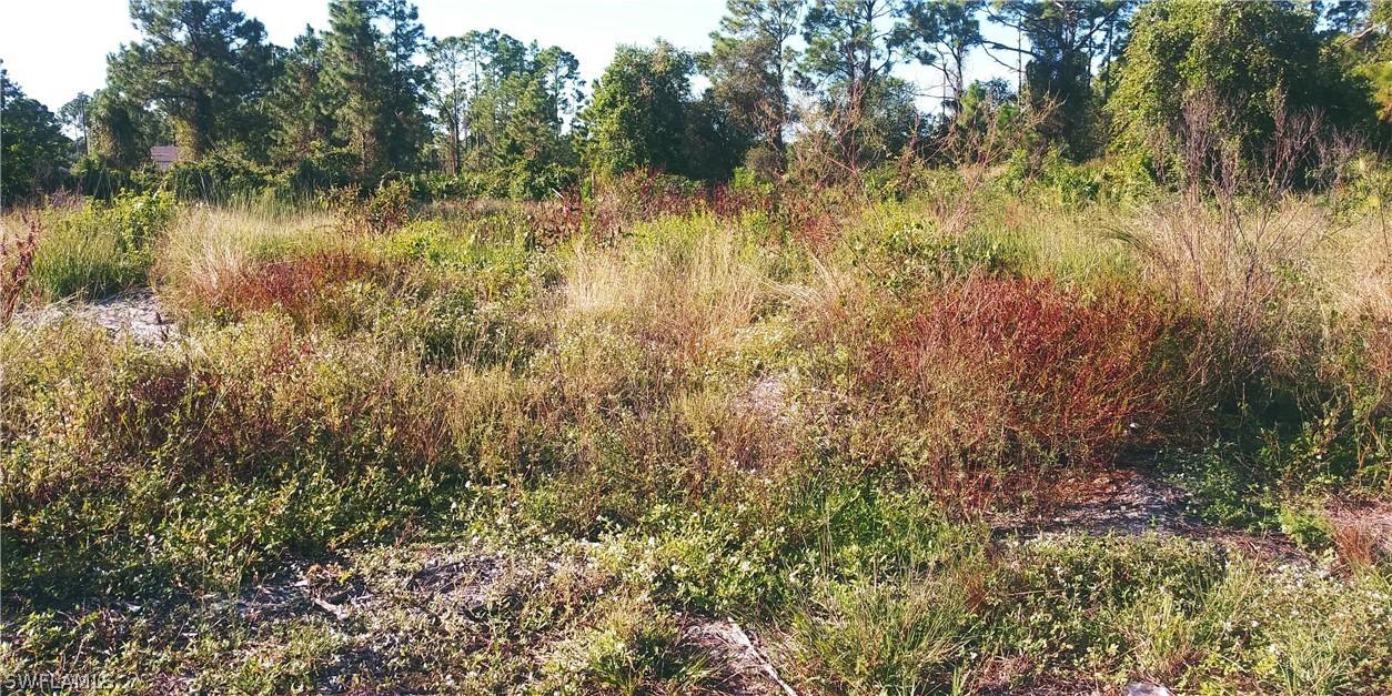 948 Milwaukee Blvd., Lehigh Acres, FL 33974