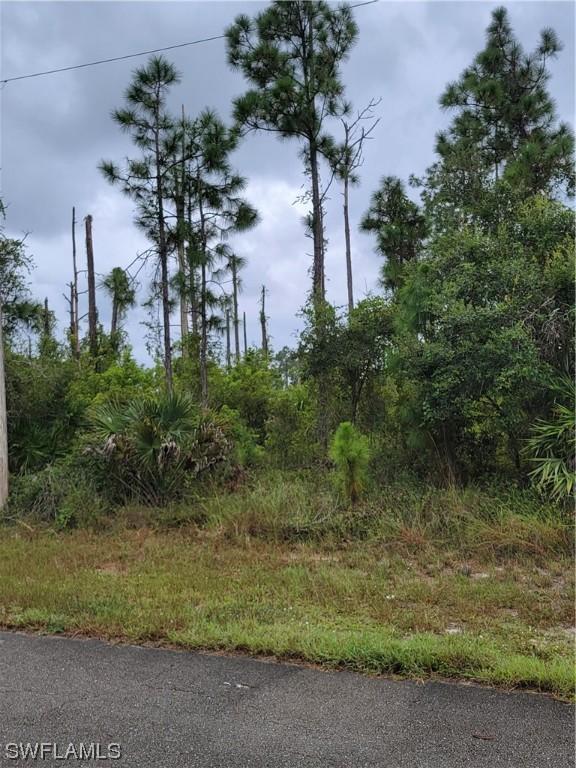 1252 Edile St., Lehigh Acres, FL 33974