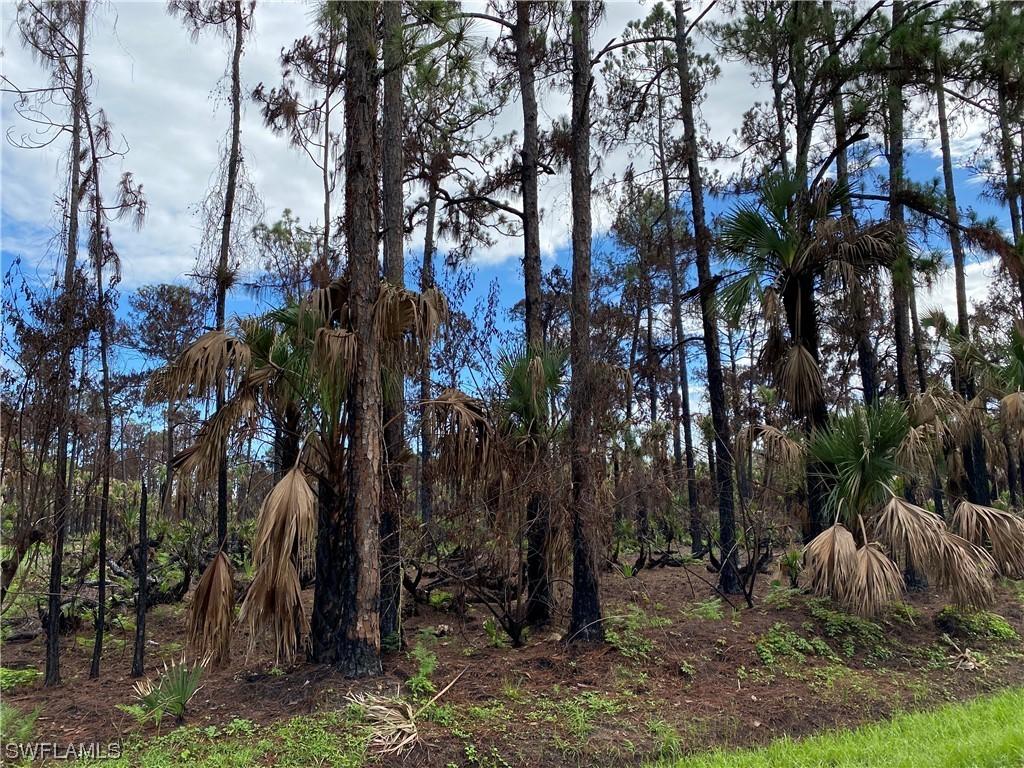 XXX 37th Ave., Naples, FL 34120