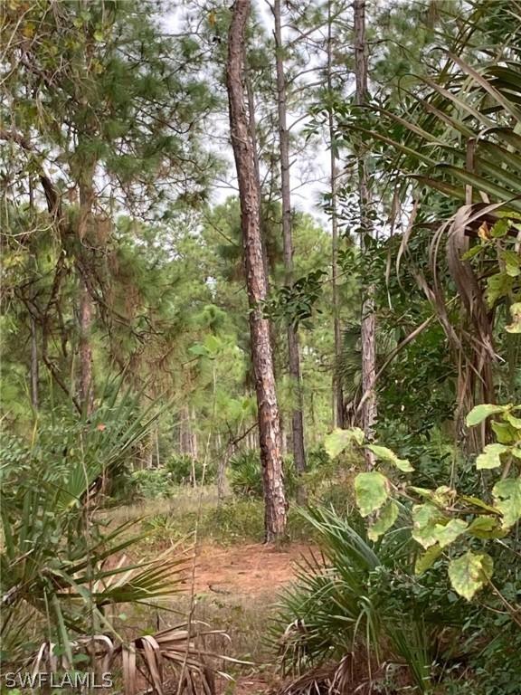 1216 Willard Ave., Lehigh Acres, FL 33972