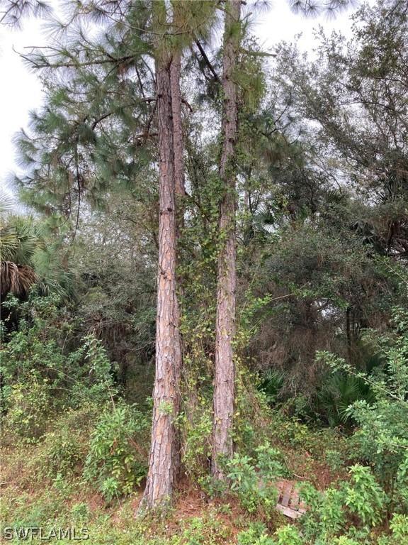 1504 Calvin Ave., Lehigh Acres, FL 33972