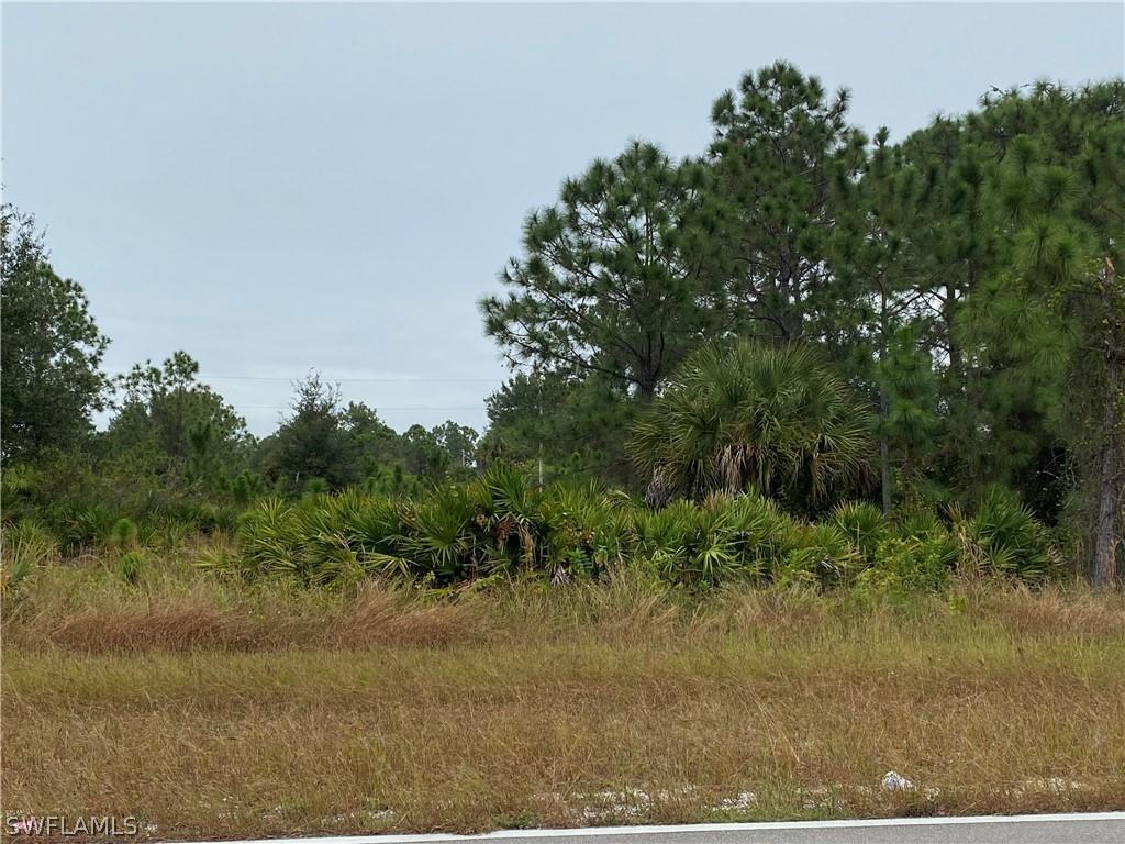 1163 Milwaukee Blvd., Lehigh Acres, FL 33974