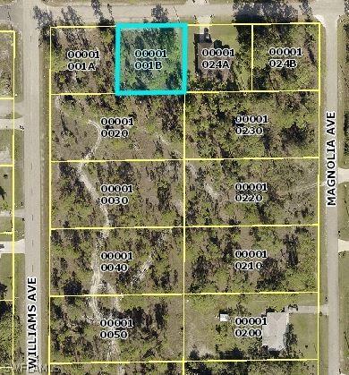 1005 W 9th St., Lehigh Acres, FL 33972