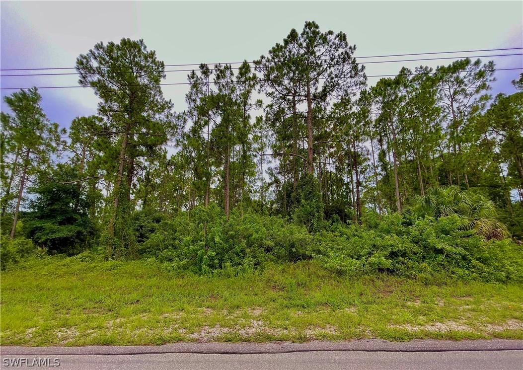 1705 W 17th St., Lehigh Acres, FL 33972