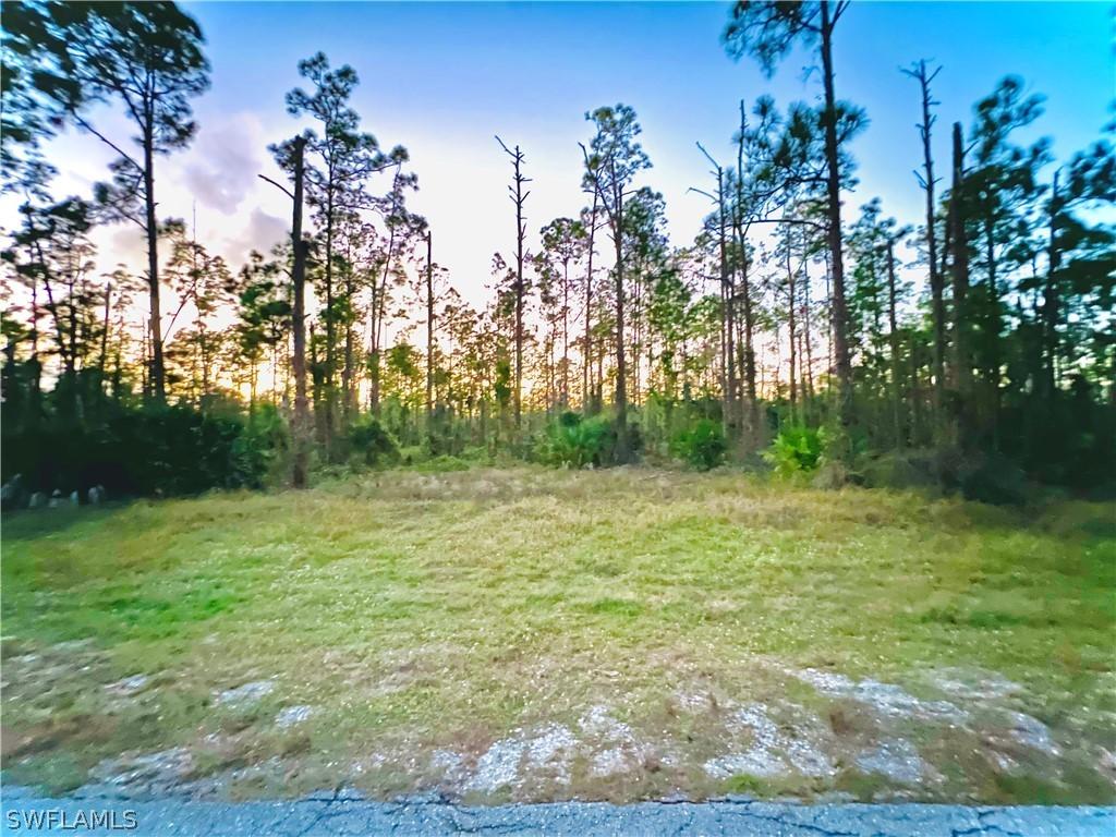 1117 Moore Ave., Lehigh Acres, FL 33972