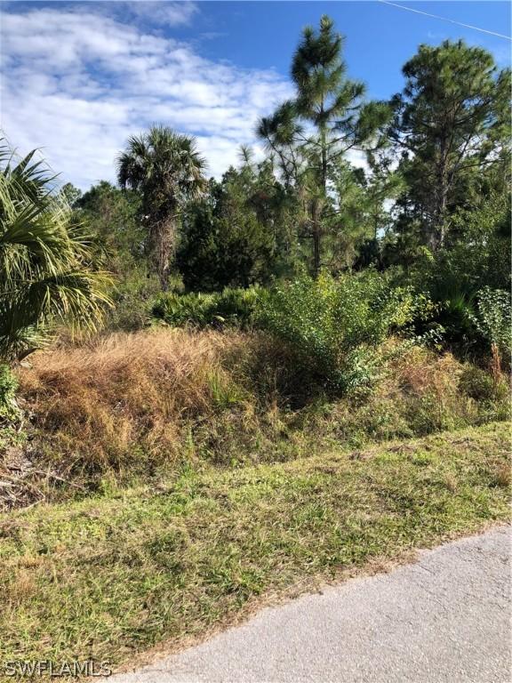 806 Congress Ave., Lehigh Acres, FL 33972