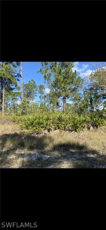 1059 Chandlee St., Lehigh Acres, FL 33974