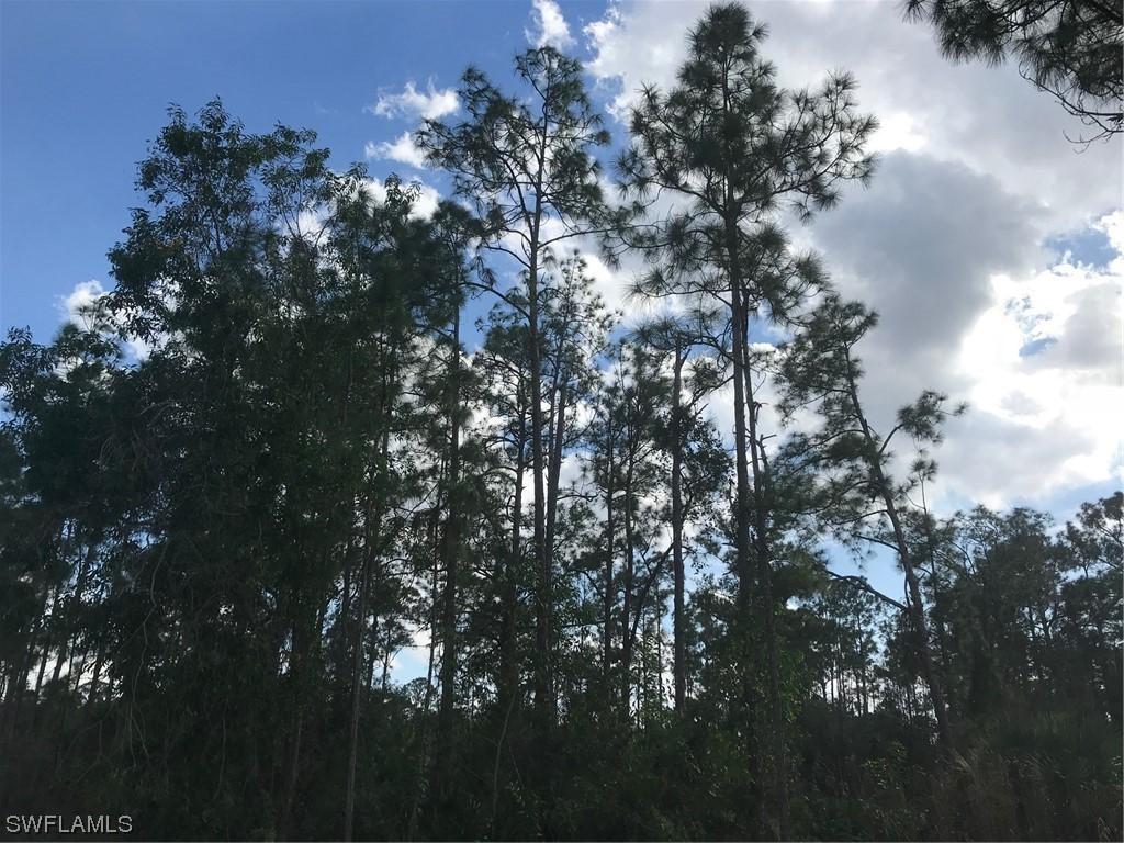 52nd Ave., Naples, FL 34120