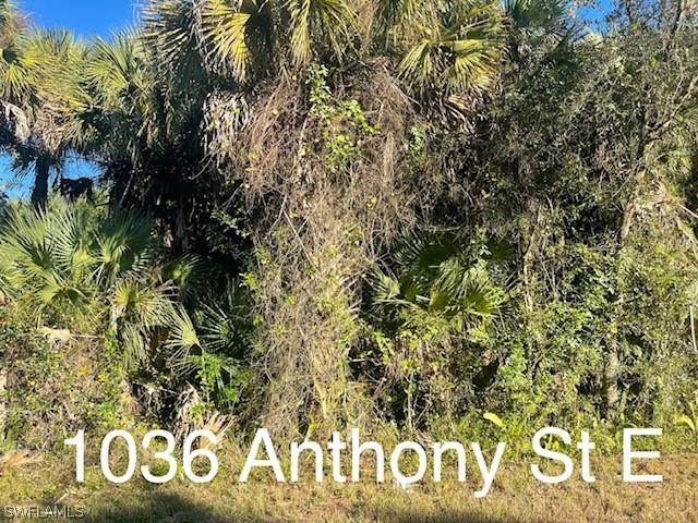 1036 Anthony St., Lehigh Acres, FL 33974
