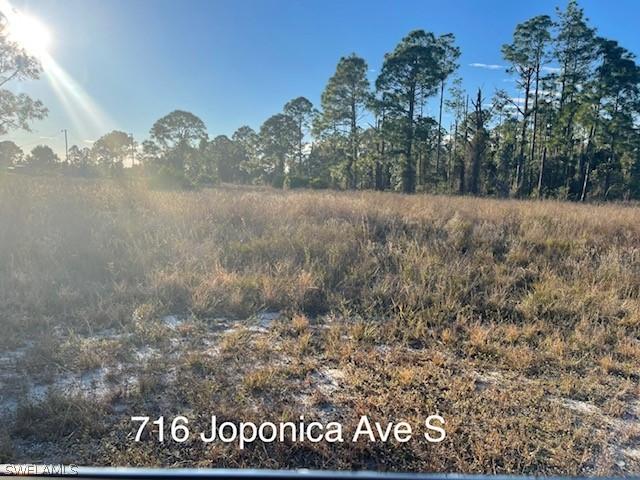 716 Joponica Ave., Lehigh Acres, FL 33974
