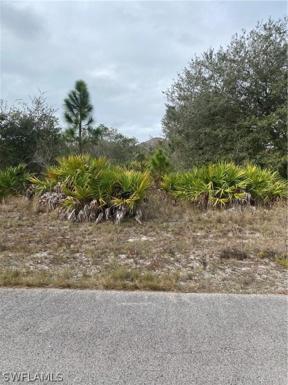 6011 Elaine Ave., Lehigh Acres, FL 33971