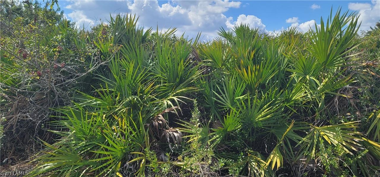 3215 34th St., Lehigh Acres, FL 33976