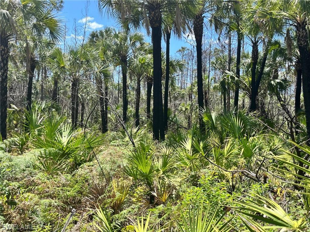 4180 14th Ave., Naples, FL 34117