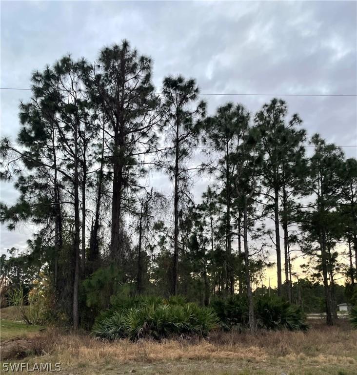 606 Ames St., Lehigh Acres, FL 33974